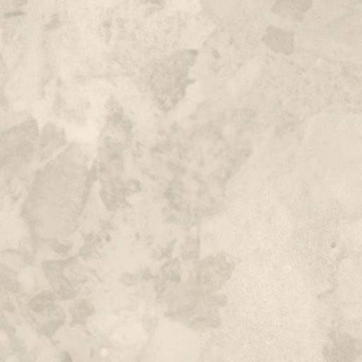 IMOLA CREW BITTER BEIGE 60x60 CR BIT R60B RM