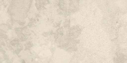 IMOLA CREW BITTER BEIGE 30x60 CR BIT 36B RM