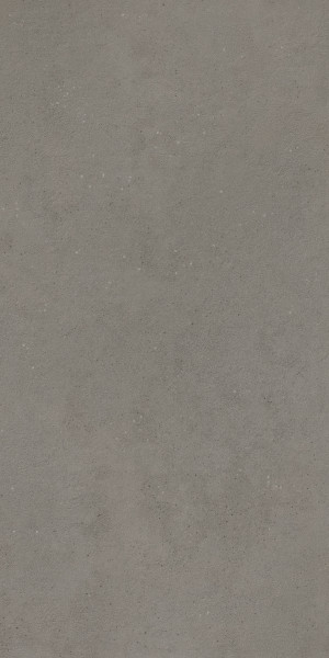 Плитка IMOLA REPLAY 60x120 REPLAY 12DG RM