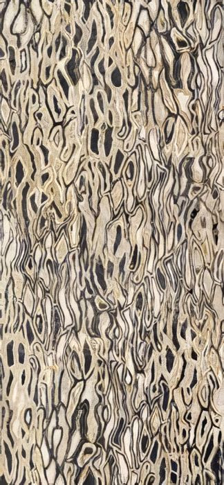 IMOLA THE ROOM 120x278 White GHEPARD6 278LP