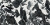 IMOLA THE ROOM 60x120 Black GRA AN6 12 LP