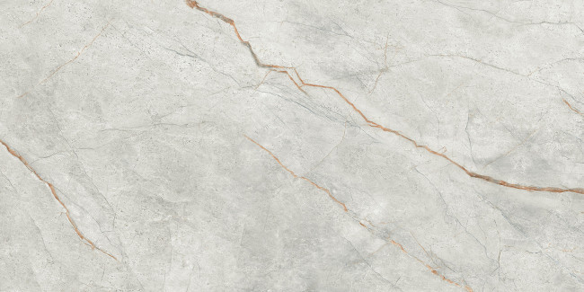 IMOLA THE ROOM 60x120 Grey GRE RO6 12 LP