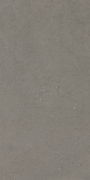 Плитка IMOLA REPLAY 30x60 REPLAY 36DG RM