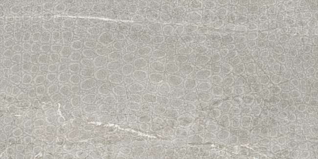 IMOLA THE ROCK 60x120 Silver SOAPST6 DK12 RM