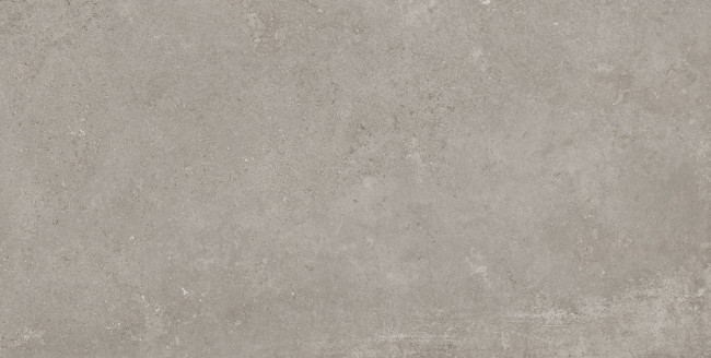 IMOLA STONCRETE 60x120 Silver STCR R12AG RM