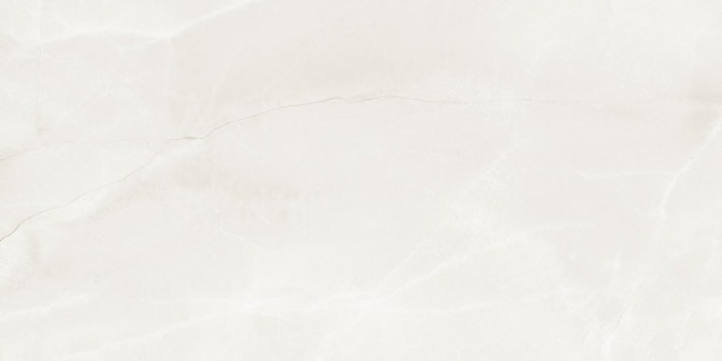 IMOLA THE ROOM 60x120 White ABS WH6 12 LP