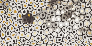 IMOLA THE ROOM 60x120 White JAGUAR6 12LP