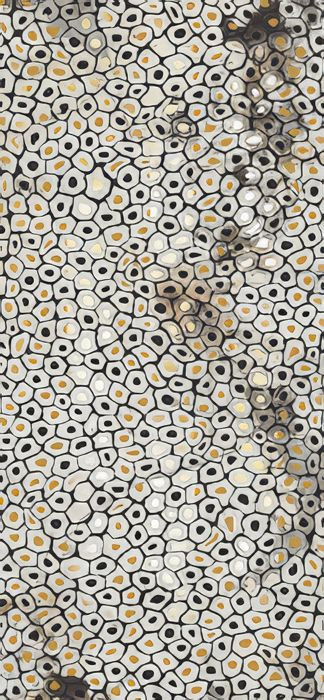 IMOLA THE ROOM 120x278 White JAGUAR6 278LP