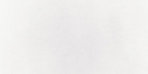 IMOLA MICRON 2.0 60x120 White M2.0 12W