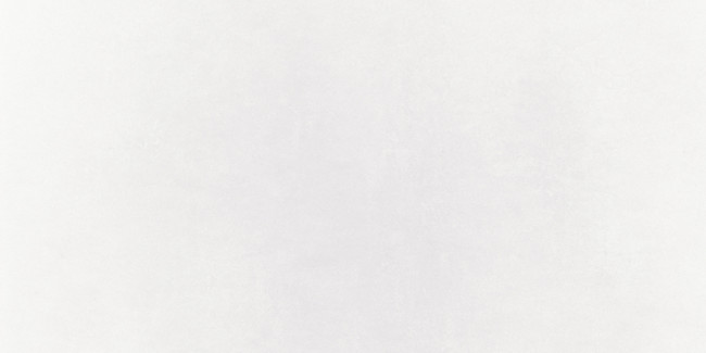 IMOLA MICRON 2.0 60x120 White M2.0 12W