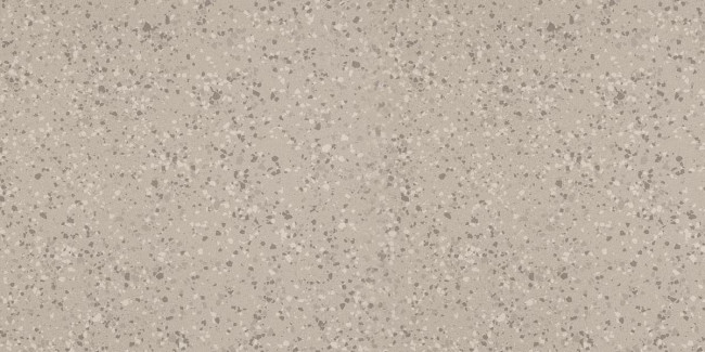 IMOLA PARADE 60x120 Silver PRDE 12AG LV