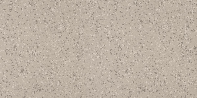 IMOLA PARADE 60x120 Silver PRDE 12AG RM