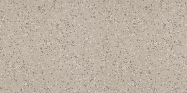 IMOLA PARADE 60x120 Silver PRDE 12AG RM