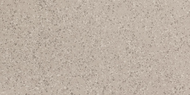 IMOLA PARADE 60x120 Silver PRDE 12AG RM